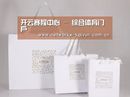 项目名称十一
