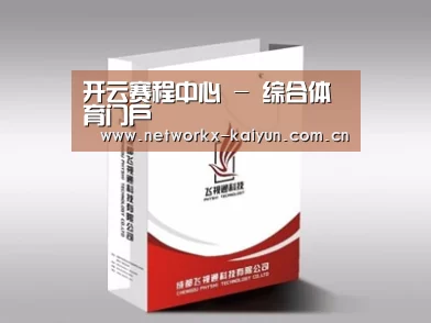 项目名称十三