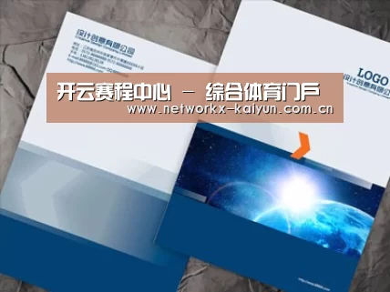 项目名称十