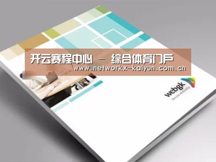 项目名称九