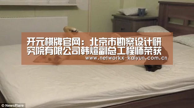 开元棋牌官网:北京市勘察设计研究院有限公司韩煊副总工程师荣获首都劳动奖章(图2) 开元