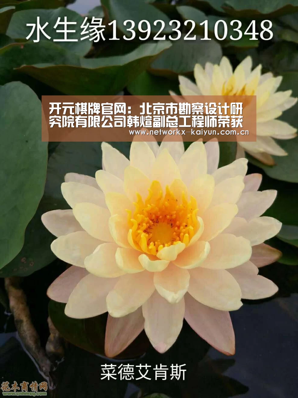 开元棋牌官网:北京市勘察设计研究院有限公司韩煊副总工程师荣获首都劳动奖章(图3) 开元棋牌官网