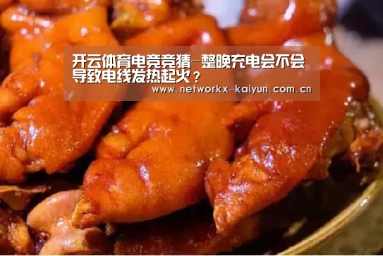 开云体育电竞竞猜-整晚充电会不会导致电线发热起火?(图2) 开元