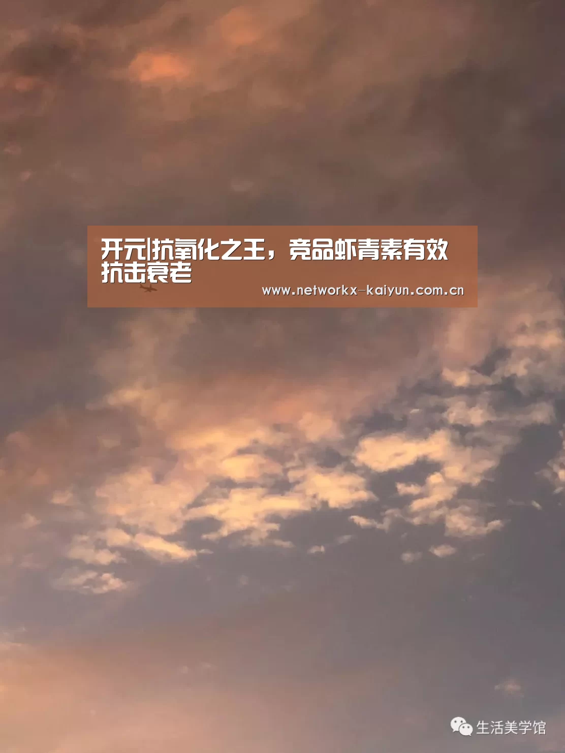 开元|抗氧化之王,竞品虾青素有效抗击衰老(图1) 开元棋牌